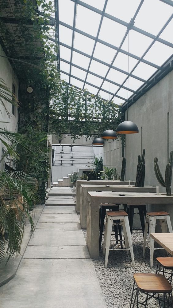 cafe indoor dengan kanopi transparan dan tanaman merambat